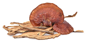 Organic Mushrooms Organic Mushrooms
